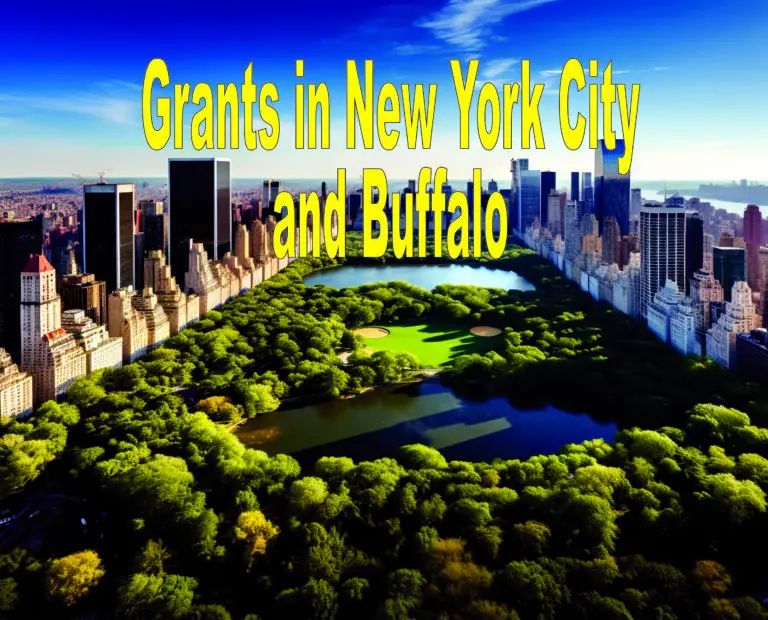 Grants for Single Mothers in New York City and Buffalo