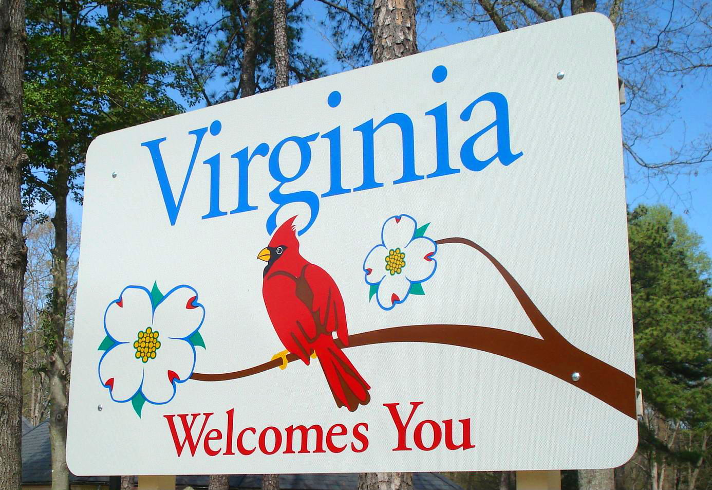 Grants for Single Moms in Virginia
