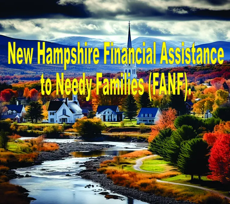 New Hampshire Financial Assistance to Needy Families (FANF).