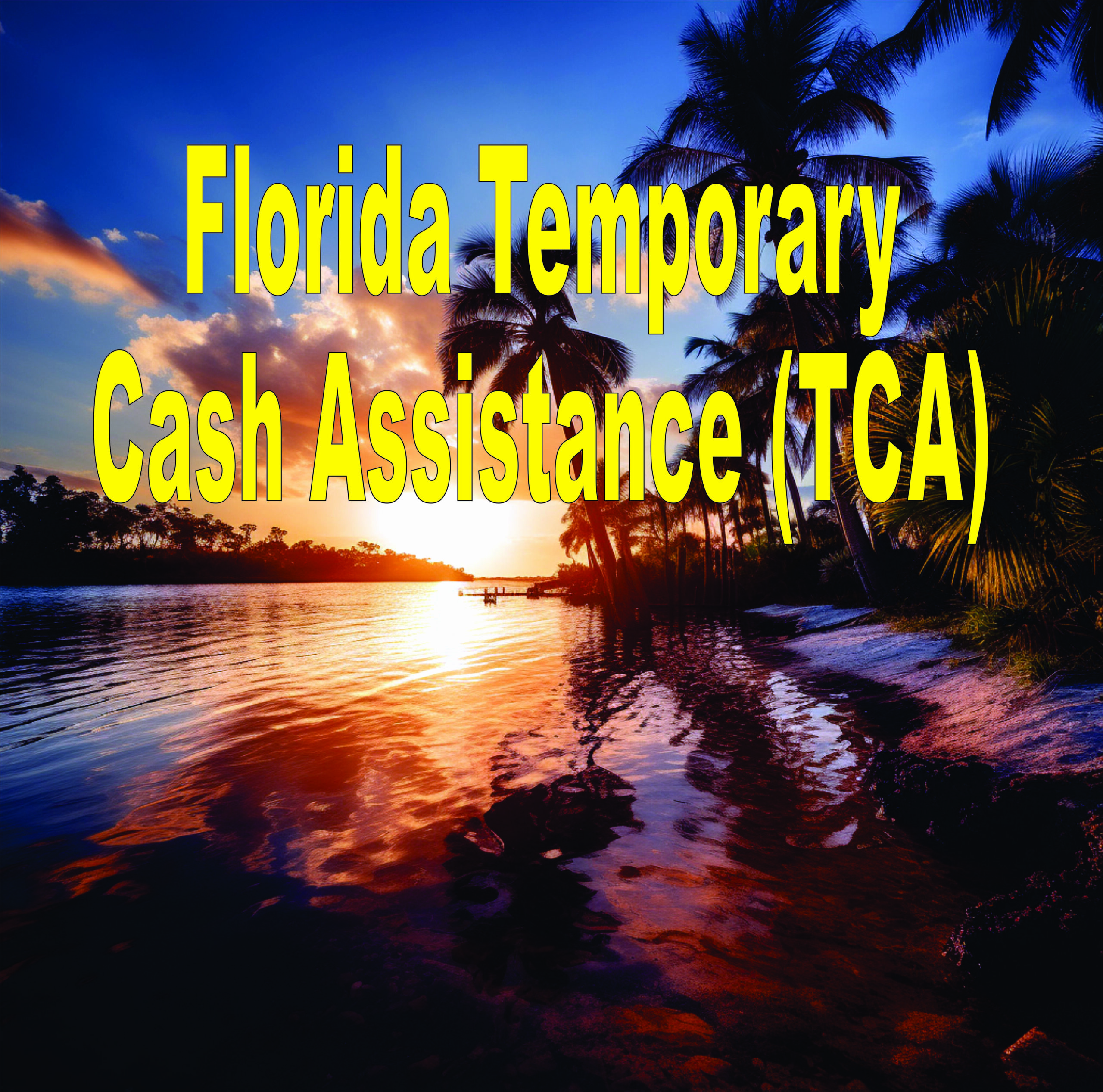 Florida Temporary Cash Assistance (tca)