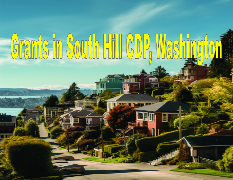 Single Mothers Grants in South Hill CDP, Washington