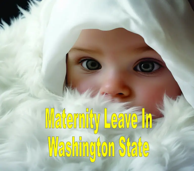 Maternity Leave In Washington State