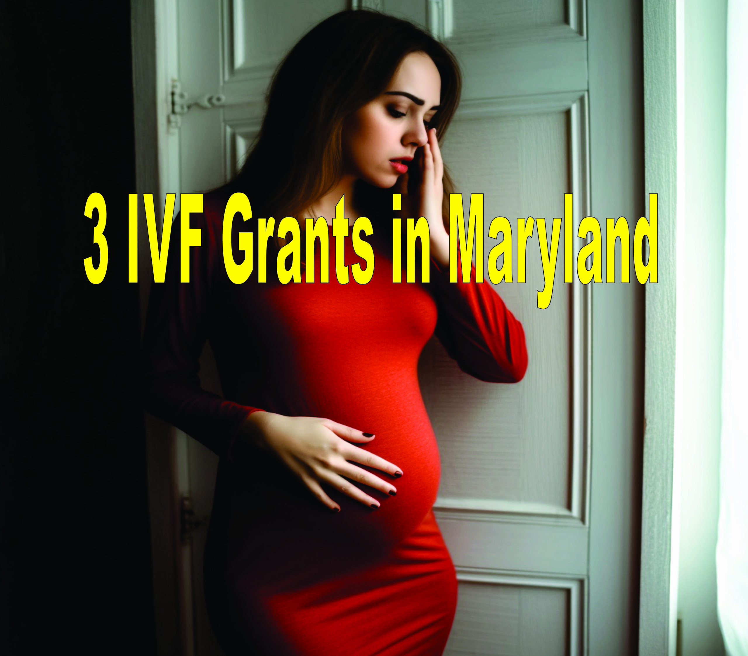 3 Ivf Grants In Maryland
