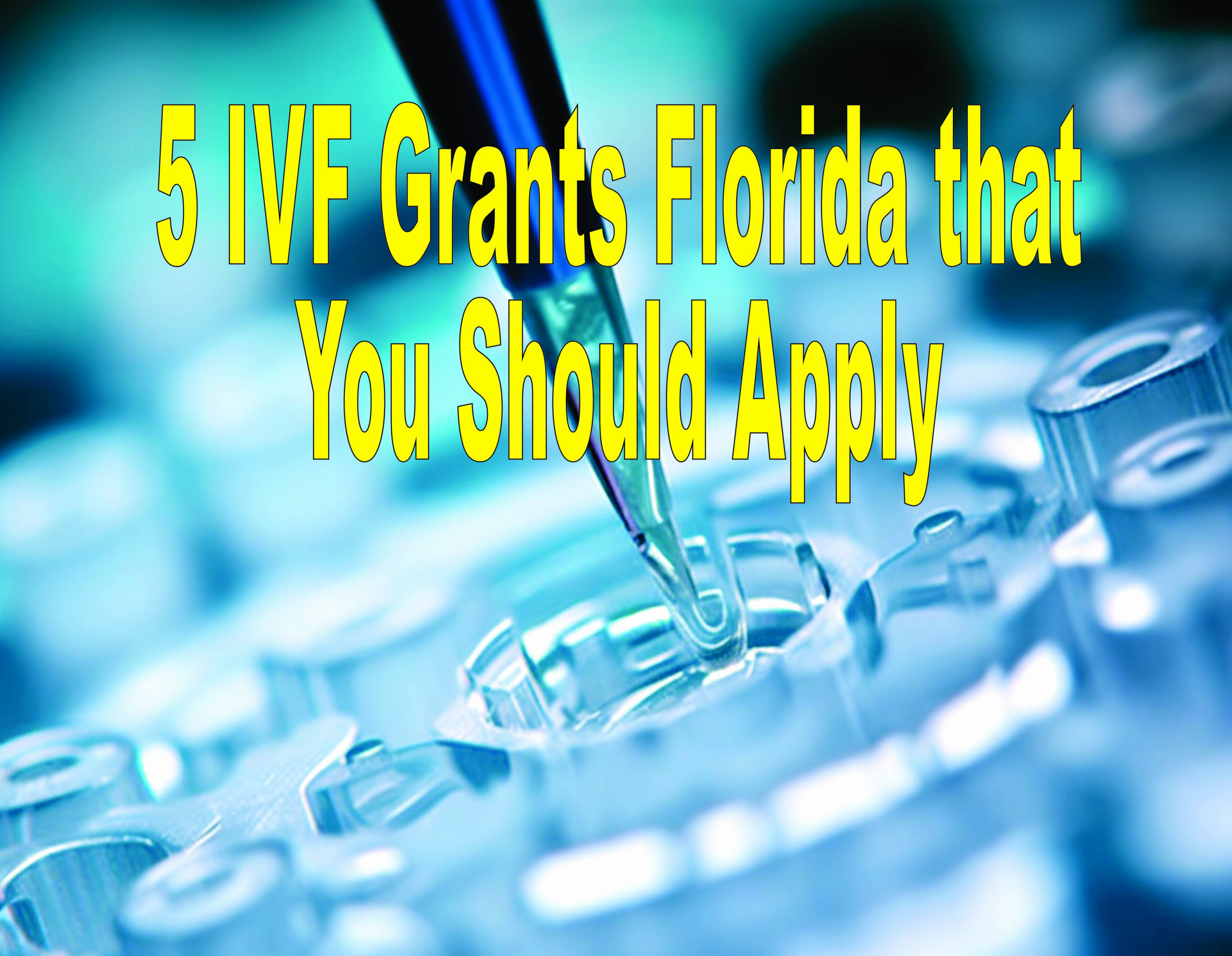 5 Ivf Grants Florida That You Should Apply