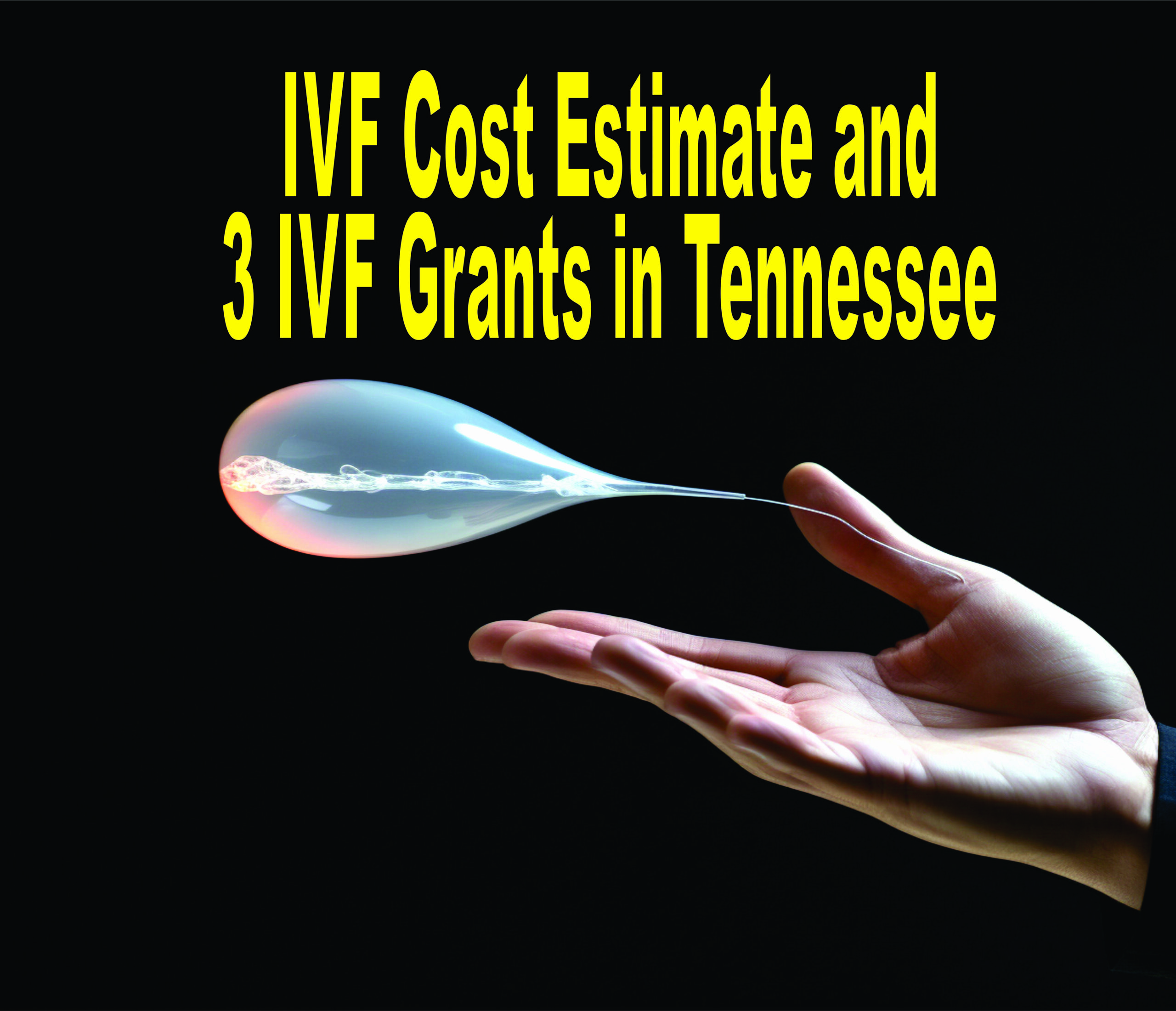 Ivf Cost Estimate And 3 Ivf Grants In Tennessee