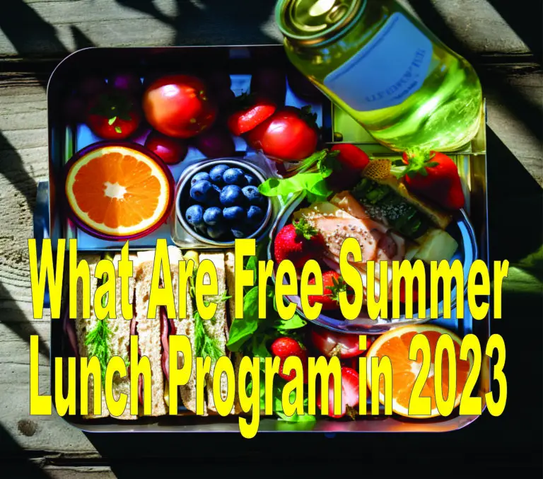 What Are Free Summer Lunch Program in 2024?