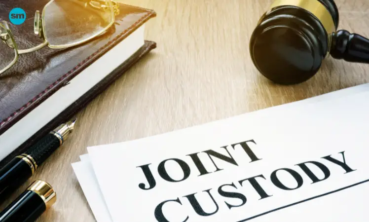 types of custody joint custody