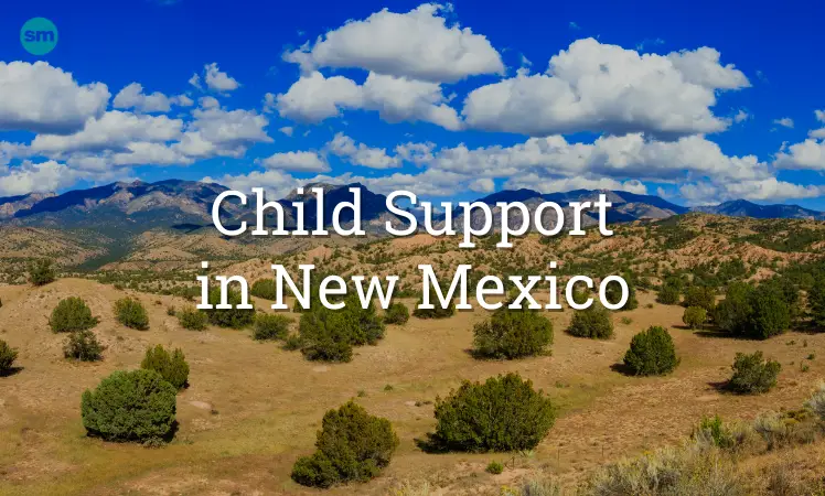 new mexico child support
