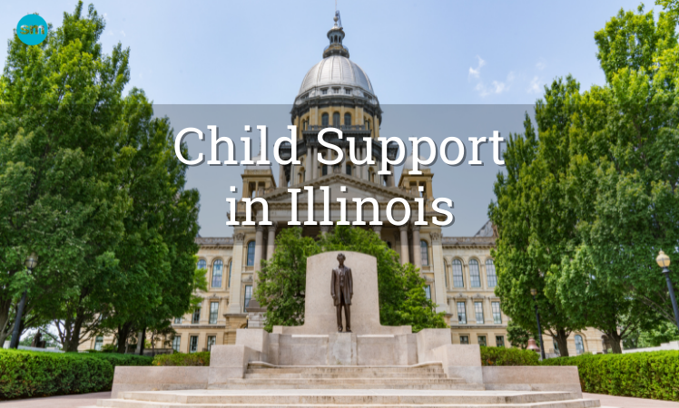 illinois child support laws