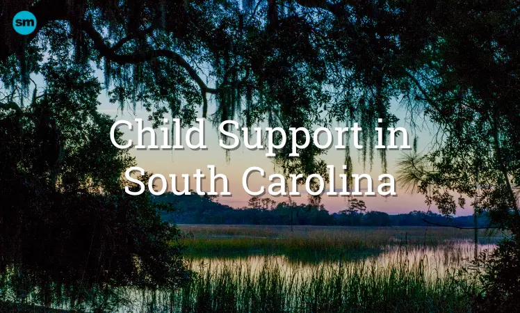 child support portal south carolina