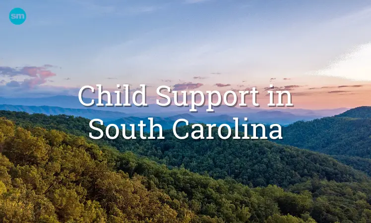 child support tennessee