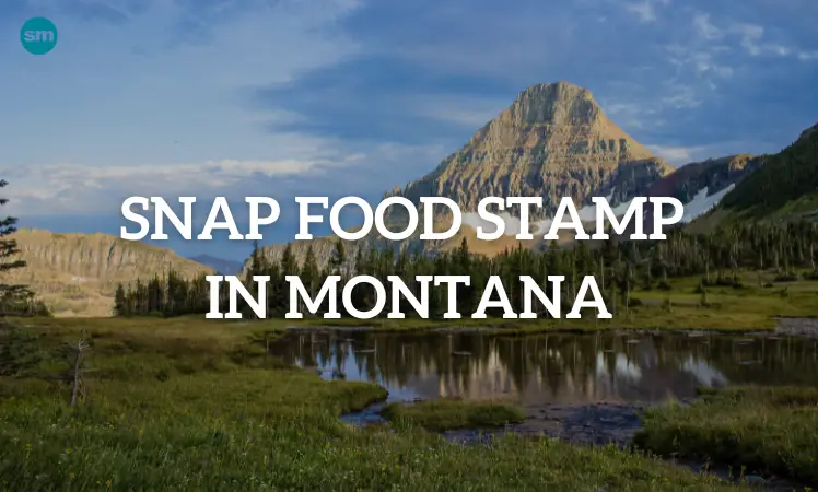 Food stamps Montana