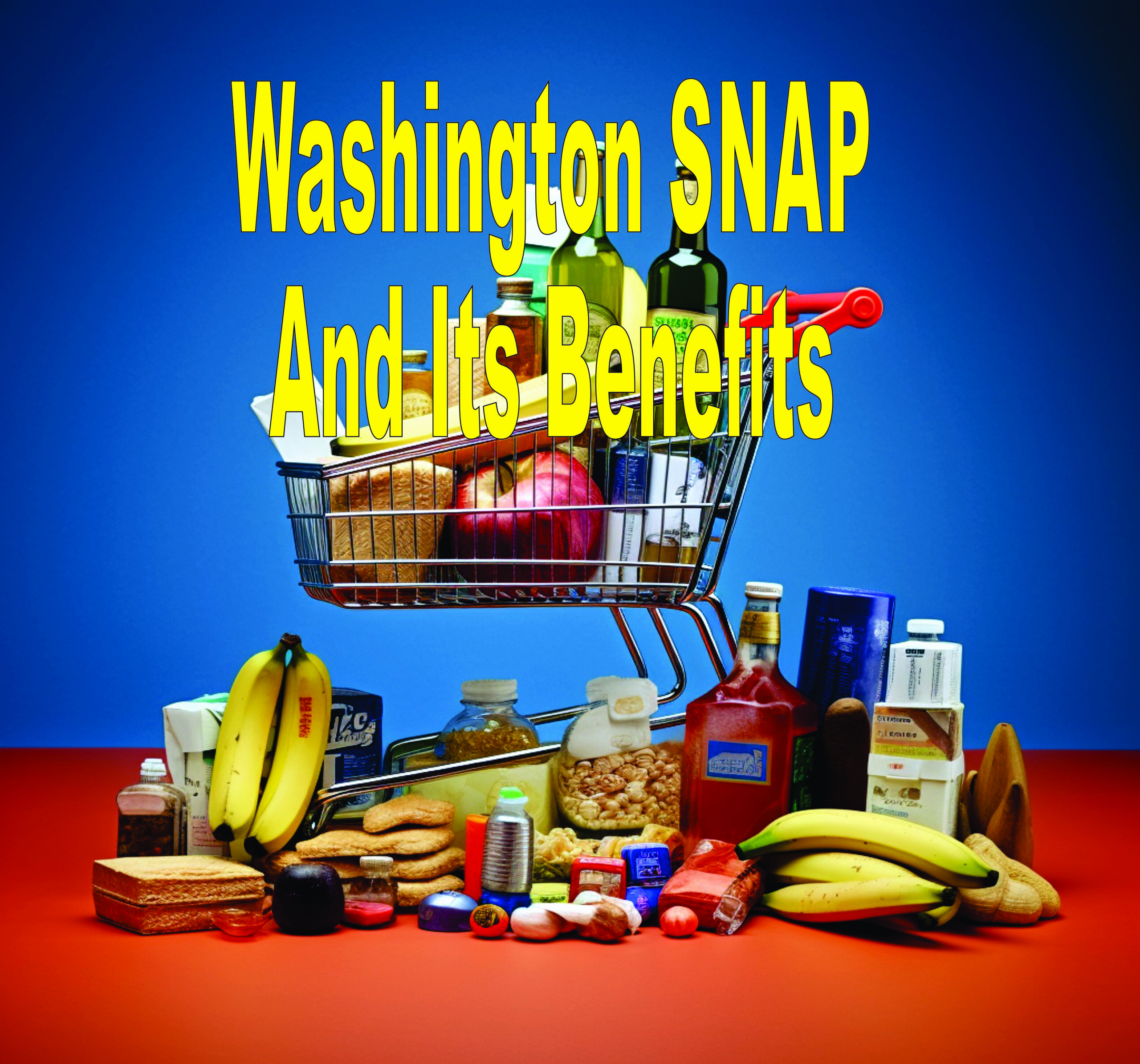 Washington Snap And Its Benefits