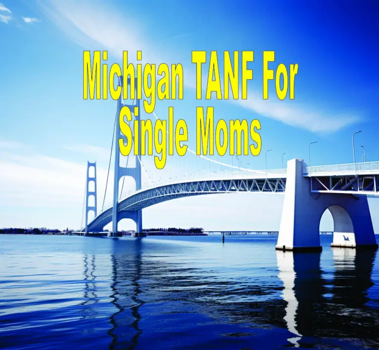 Michigan TANF For Single Moms