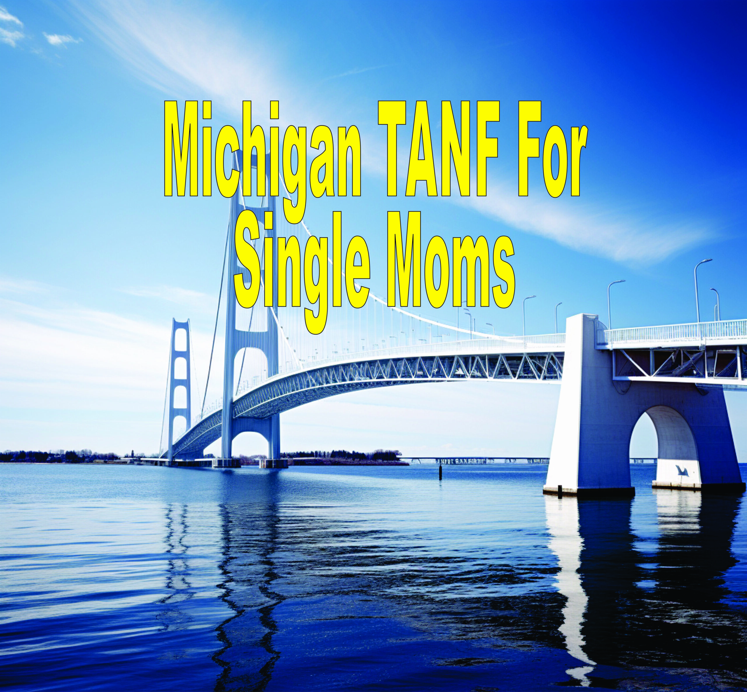 Michigan Tanf For Single Moms