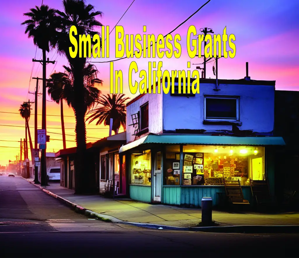 Small Business Grants In California Singlemothers.us