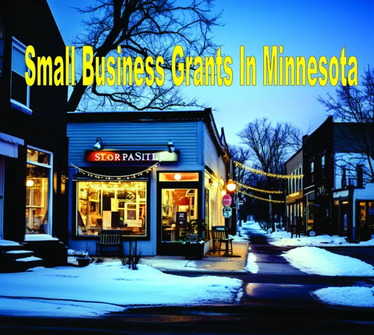 Small Business Grants In Minnesota