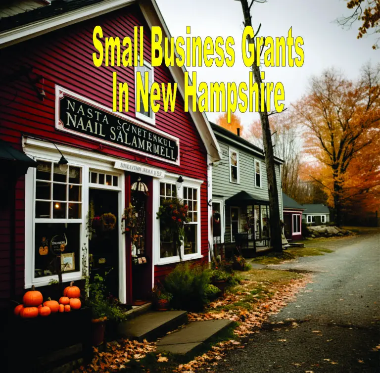 Small Business Grants In New Hampshire