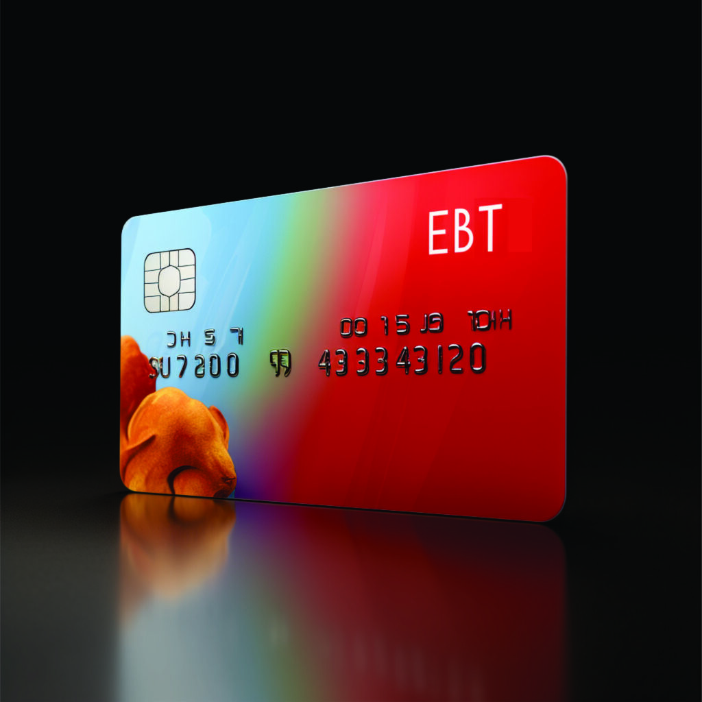 Does Wawa Take Ebt Cards