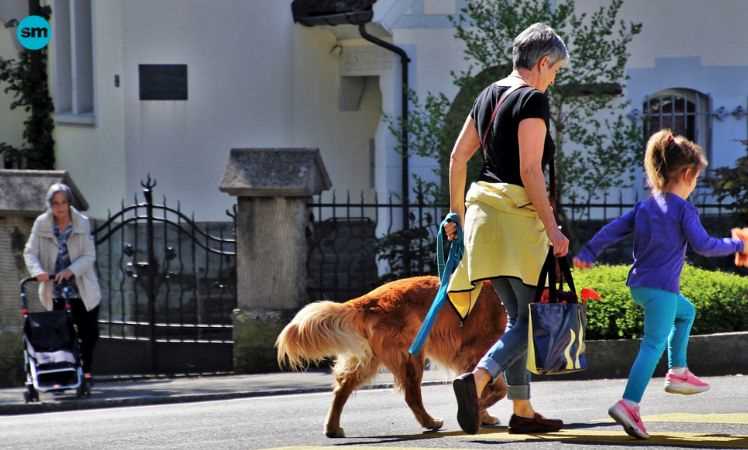 A person and child walking a dog